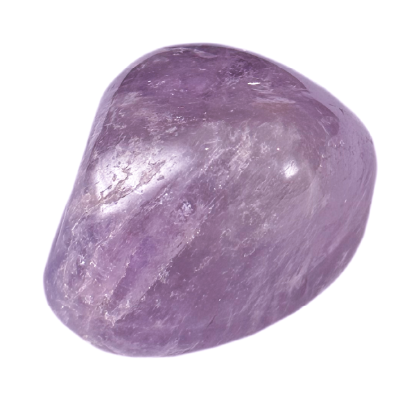 Cartas de Decretos Diarios